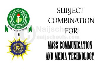 Subject Combination for Mass Communication and Media Technology
