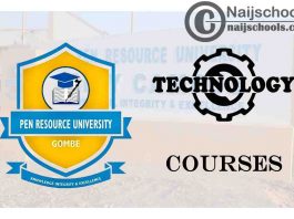 Pen Resource University Courses for Technology Students