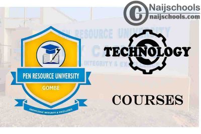 Pen Resource University Courses for Technology Students
