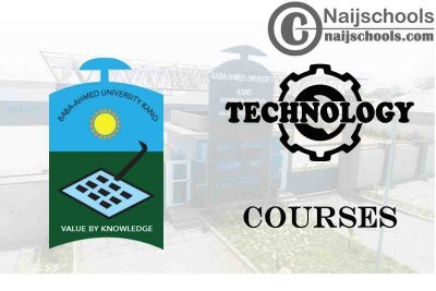 Baba Ahmed University Courses for Technology Students