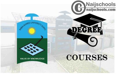Degree Courses Offered in Baba Ahmed University
