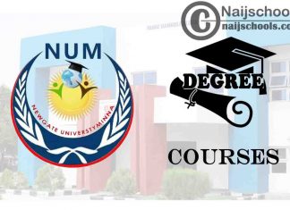 Degree Courses Offered in Newgate University