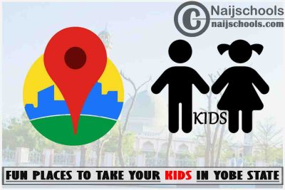 Yobe Kids fun Places to Visit; Top 13 Places