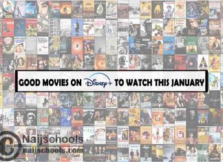 13 Good Movies on Disney Plus to Watch this January