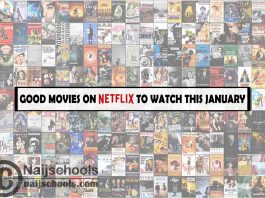 13 Good Movies on Netflix to Watch this January
