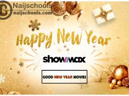 13 Good Movies on Showmax to Watch this New Year