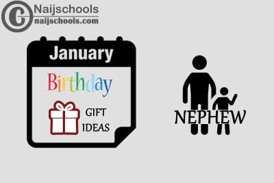13 January Birthday Gifts to Buy for Your Nephew