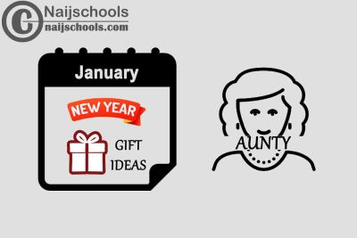 13 January New Year Gifts to Buy for Your Aunty
