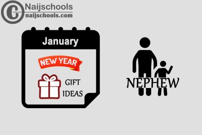 11 January New Year Gifts to Buy for Your Nephew