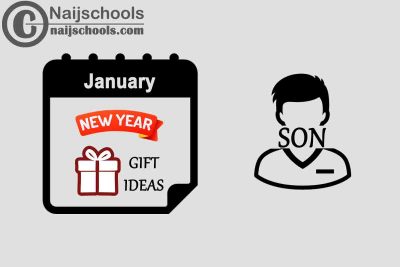 12 January New Year Gifts to Buy for Your Son