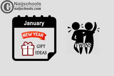 27 January New Year Gifts to Buy for Twins