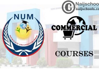 Newgate University Courses for Commercial Students