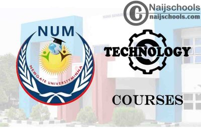 Newgate University Courses for Technology Students