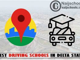 Best Delta State Driving Schools Near You; Top 11 Schools