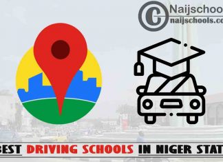 Best Niger State Driving Schools Near You; Top 11 Schools