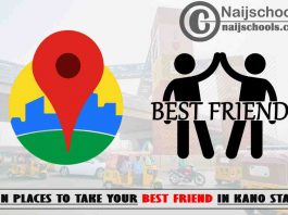13 Fun Places to Take Your Best Friend in Kano State Nigeria