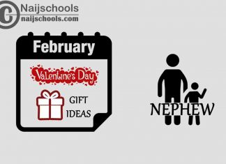 13 Valentine's Day Gifts to Buy for Your Nephew 2023