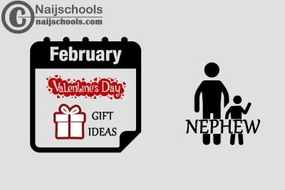 13 Valentine's Day Gifts to Buy for Your Nephew 2023