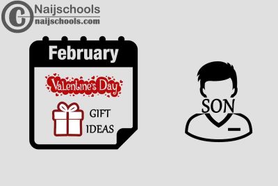 13 Valentine's Day Gifts to Buy for Your Son 2023
