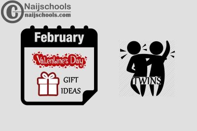 27 Valentine's Day Gifts to Buy for Twins 2023