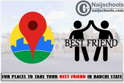 13 Fun Places to Take Your Best Friend in Bauchi State