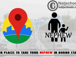 13 Fun Places to Take Your Nephew in Borno State Nigeria