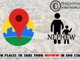 13 Fun Places to Take Your Nephew in Edo State Nigeria