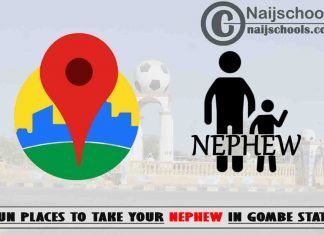 13 Fun Places to Take Your Nephew in Gombe State Nigeria
