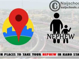 13 Fun Places to Take Your Nephew in Kano State Nigeria