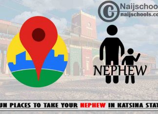 13 Fun Places to Take Your Nephew in Katsina State Nigeria
