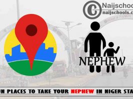 13 Fun Places to Take Your Nephew in Niger State Nigeria