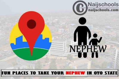 13 Fun Places to Take Your Nephew in Oyo State Nigeria 