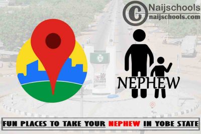 13 Fun Places to Take Your Nephew in Yobe State Nigeria