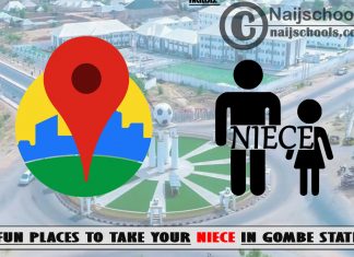 13 Fun Places to Take Your Niece in Gombe State Nigeria