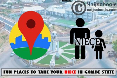 13 Fun Places to Take Your Niece in Gombe State Nigeria