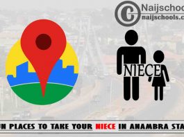 13 Fun Places to Take Your Niece in Anambra State Nigeria