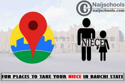 13 Fun Places to Take Your Niece in Bauchi State Nigeria