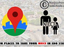 13 Fun Places to Take Your Niece in Edo State Nigeria