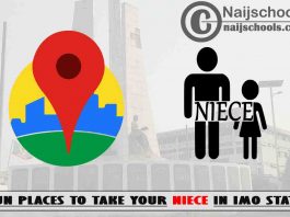 13 Fun Places to Take Your Niece in Imo State Nigeria