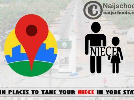 13 Fun Places to Take Your Niece in Yobe State Nigeria