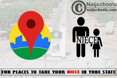 13 Fun Places to Take Your Niece in Yobe State Nigeria