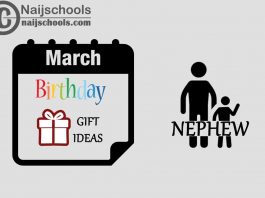 15 March Birthday Gifts to Buy For Your Nephew 2024
