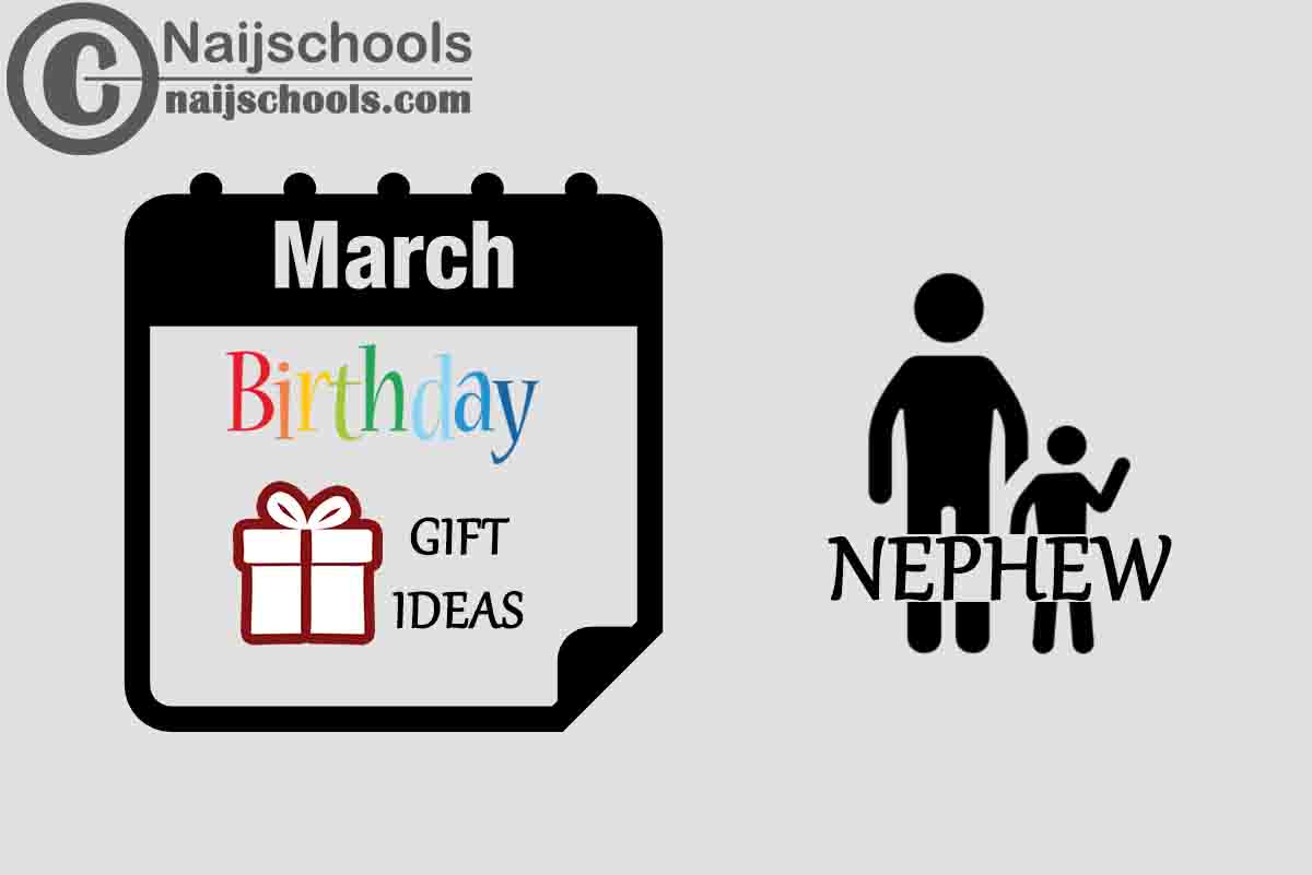 15 March Birthday Gifts to Buy For Your Nephew 2024