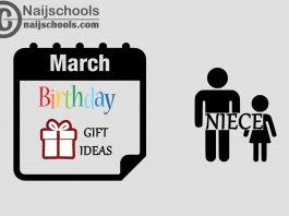 15 March Birthday Gifts to Buy For Your Niece 2024