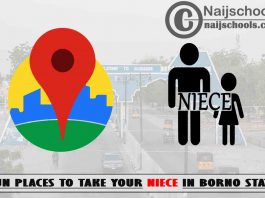 13 Fun Places to Take Your Niece in Borno State Nigeria