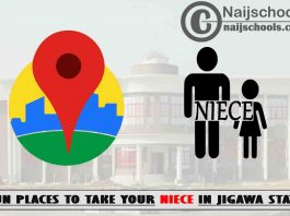 13 Fun Places to Take Your Niece in Jigawa State Nigeria