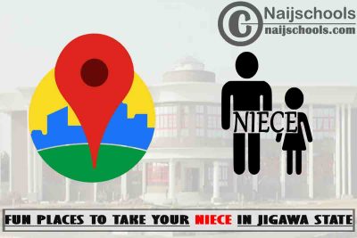 13 Fun Places to Take Your Niece in Jigawa State Nigeria