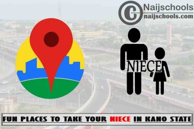 13 Fun Places to Take Your Niece in Kano State Nigeria