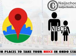 13 Fun Places to Take Your Niece in Ondo State Nigeria