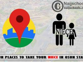 13 Fun Places to Take Your Niece in Osun State Nigeria